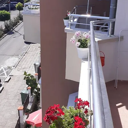 смокиня 3* Obzor