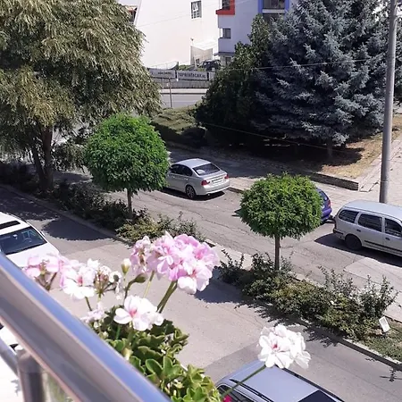 смокиня Gæstehus Obzor