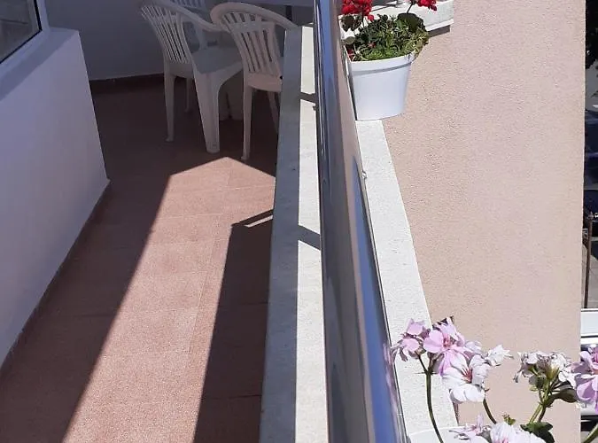 смокиня Obzor